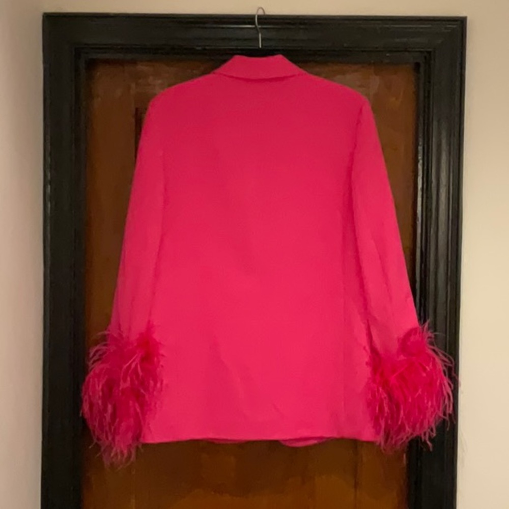 ZARA NWT Pink Medium Feather Sleeve Blazer - Picture 4 of 4